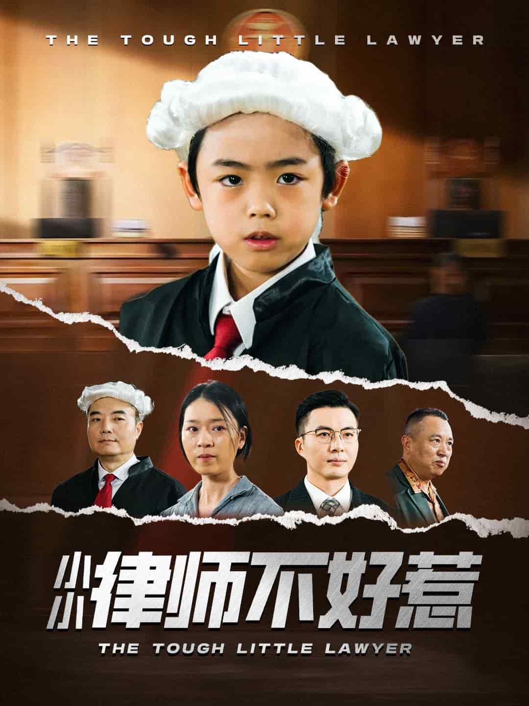 小小律师不好惹(全集)