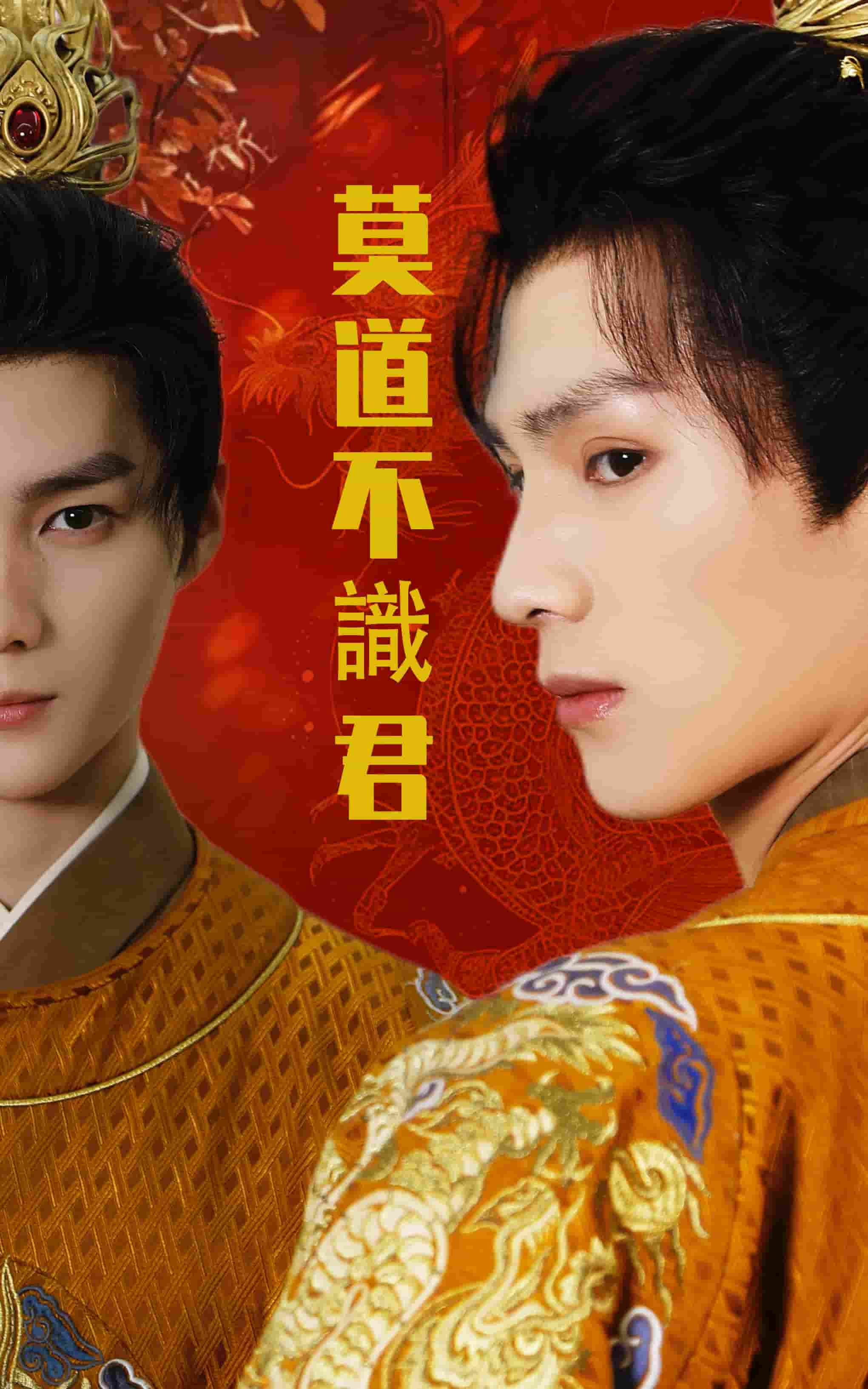 莫道不识君(全集)