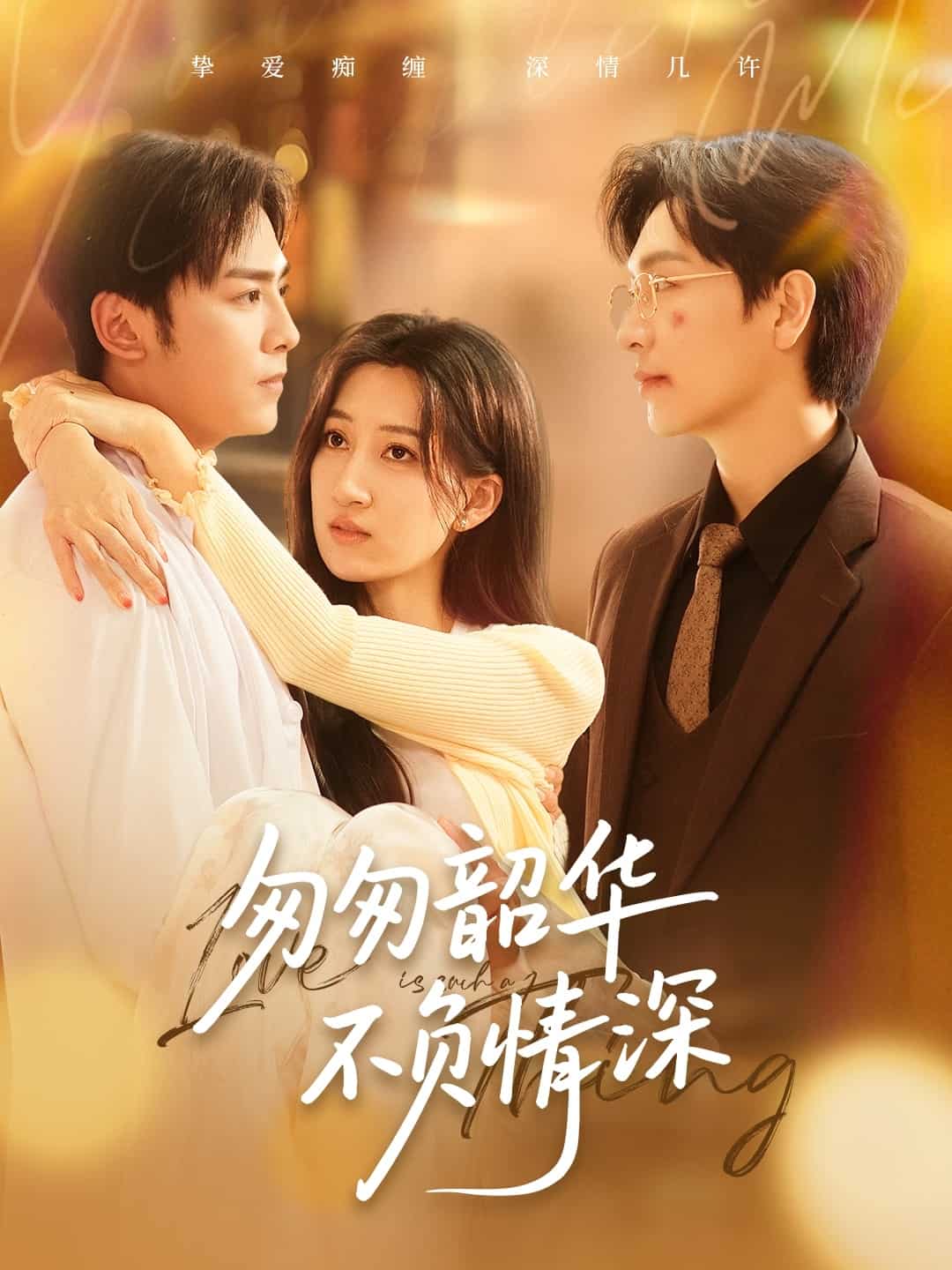 匆匆韶华不负情深(全集)