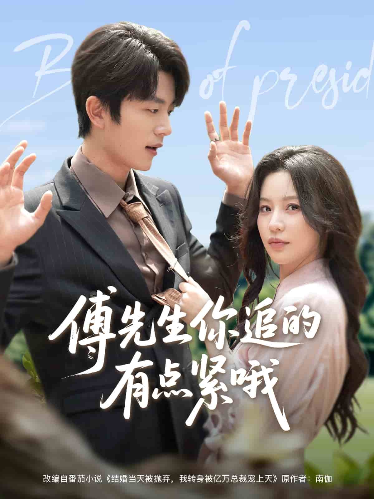 傅先生你追的有点紧哦(全集)