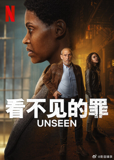 看不见的罪第二季(全集)